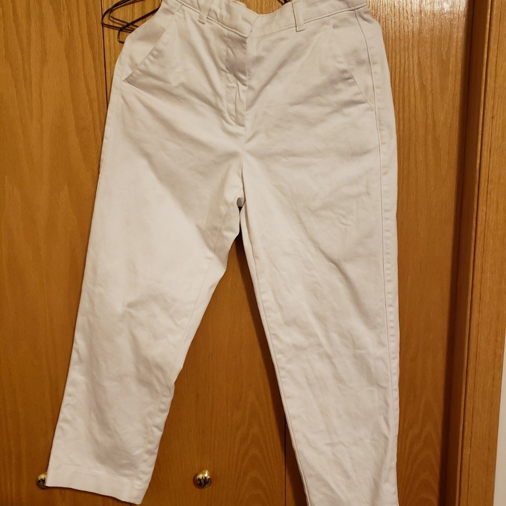 Aritzia Andro Pants size 2